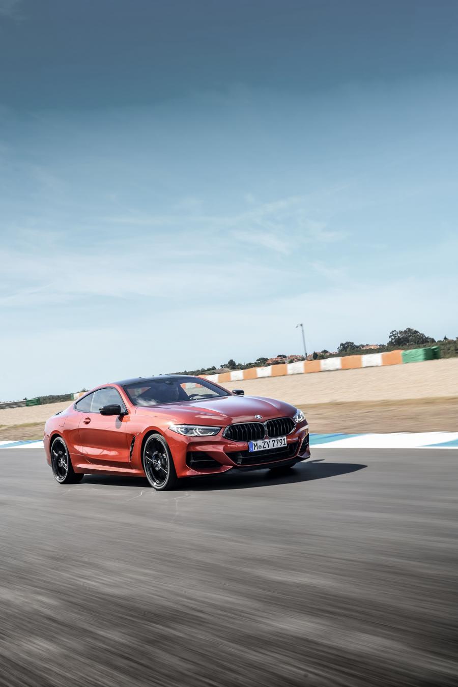  BMW M850i xDrive Carbon Package (G15) 2018 года  (WW) (фото 61 из 287)